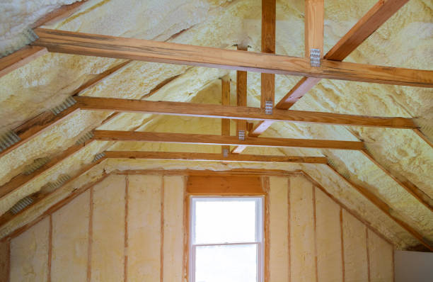 Best Geographic-Specific Insulation Services in Mclean, TX