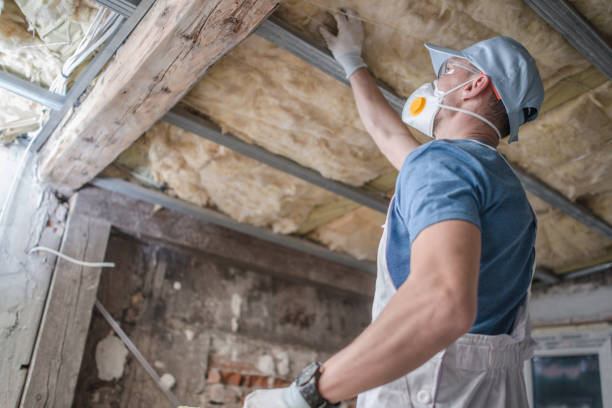Types of Insulation We Offer in Mclean, TX