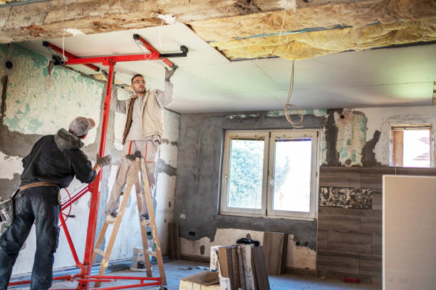Best Cellulose Insulation in Mclean, TX