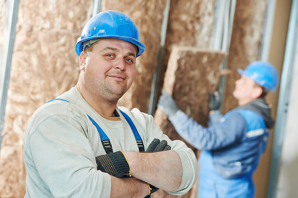 Best Eco-Friendly Insulation in Mclean, TX