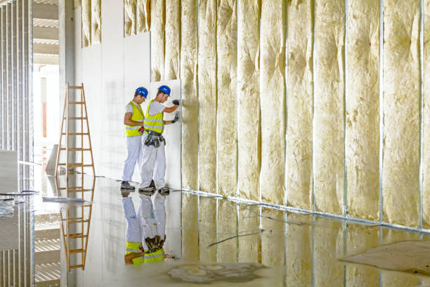 Best Specialized Insulation Services in Mclean, TX